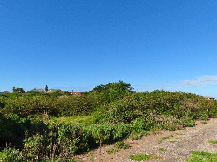 0 Bedroom Property for Sale in Forest Downs Eastern Cape